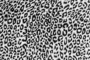 Tuinposter texture of close up print fabric striped leopard © photos777