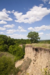 Fototapeta premium ravine