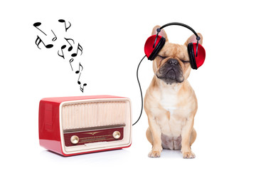 dog   relax music