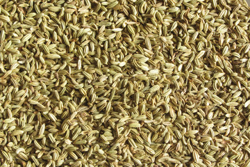fennel seeds texture