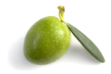 lonely green olive