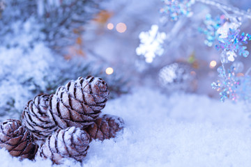 Tannenzapfen im Schnee, Weihnachten, Hintergrund