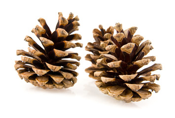 cones