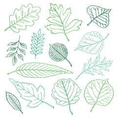 Hand-drawn leaves doodles set