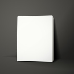 3d blank canvas or poster