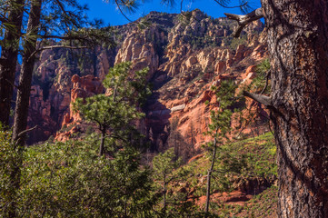 The Many Wonders of Sedona Arizona