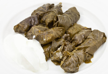 dolma from grape leaves and mince on white plate