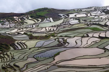 Printed kitchen splashbacks Rice fields Terraced rice field in Yuanyang, Yunnan province, China