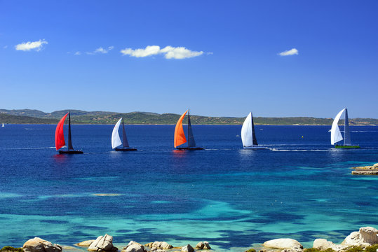 Sailboats Regatta Racing