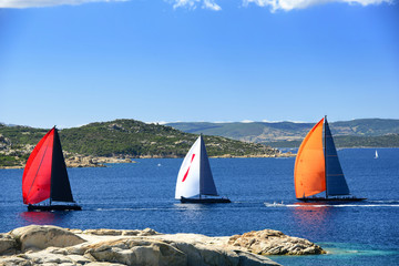 Sailboats regatta racing