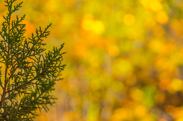 The Many Wonders of Sedona Arizona