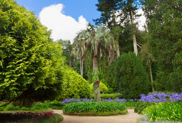 Gardens of Pena, SIntra, Portugal