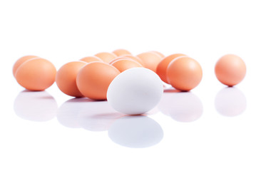 some brown eggs one white egg in the foreground on a white isola