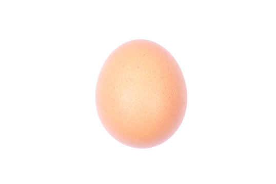 brown egg standing upright on a white isolated background side v