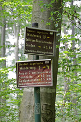 Wegweiser an der Jägerbuche im Wald Aerzen