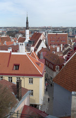 Fototapeta na wymiar Над крышами Таллина. Эстония
