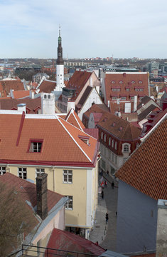 Над крышами Таллина. Эстония