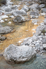 torrente