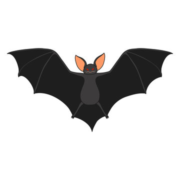 Vector Vampire bat