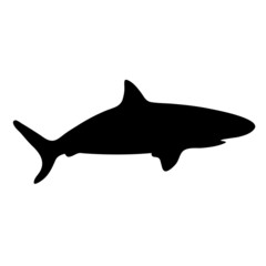 Silhouette shark
