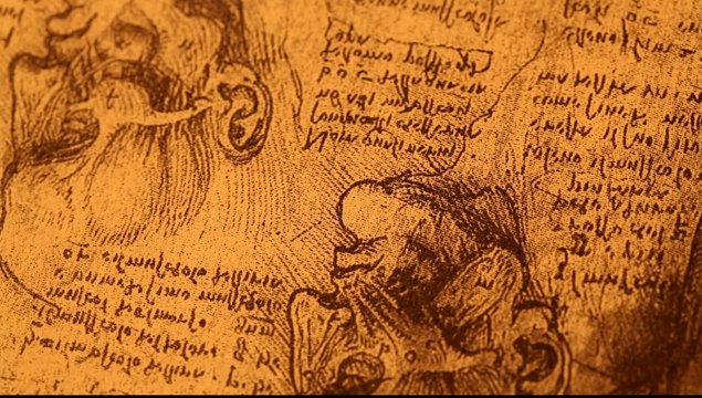 14th century anatomy art by Leonardo Da Vinci   