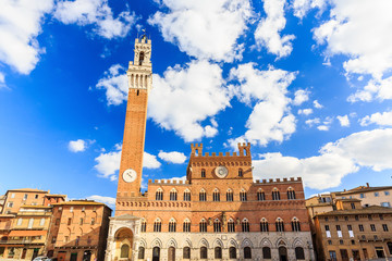 Fototapeta premium Torre del Mangia and Palazzo Pubblico, Siena.