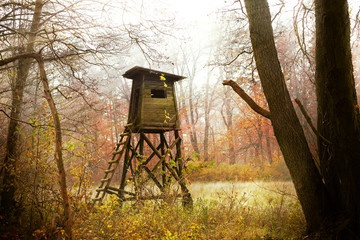 Hunting pulpit in forest at sunrise, Poland.