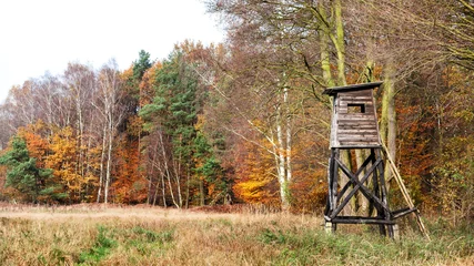 Fototapeten Panoramablick auf eine Jagdkanzel im Herbst. © MaciejBledowski
