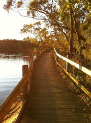 Fototapeta na wymiar Wooden fenced pathway by lake