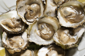 Oysters with lemon