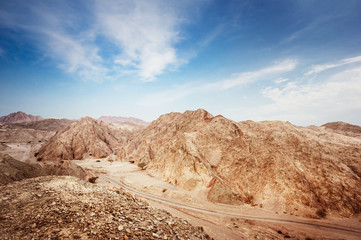 Desert landscape