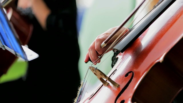 Cellist Playing the Violoncello
