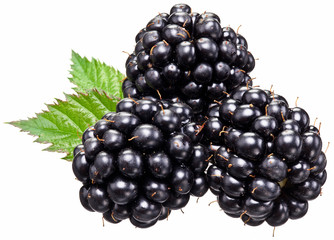 Dewberries with leaves isolated over white.