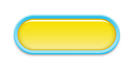 the oval glossy button