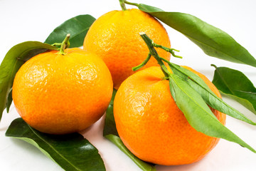 Closeup of three sweet tangerines