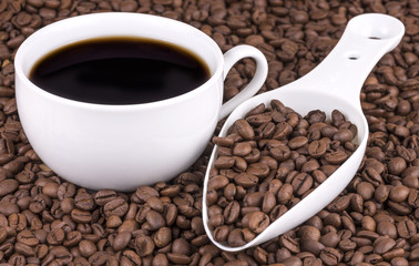 Fresh Coffee
