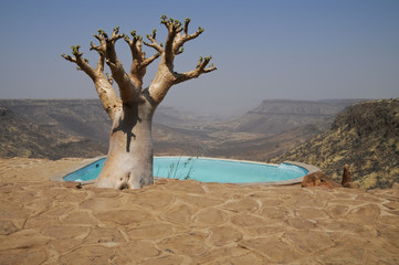Grootberg, Damaraland, Namibia, Afrika