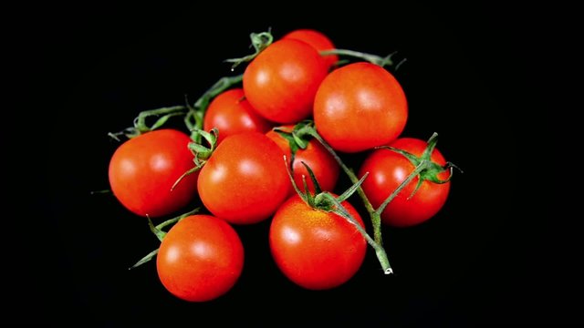 Pomodorini rotanti su sfondo nero