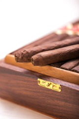 cigars in open humidor. close up