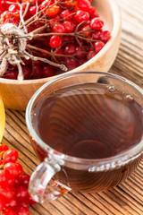 Hot herbal tea with honey and viburnum