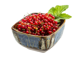 Red currant