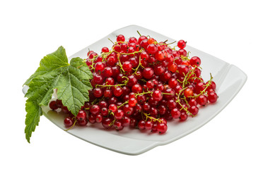 Red currant