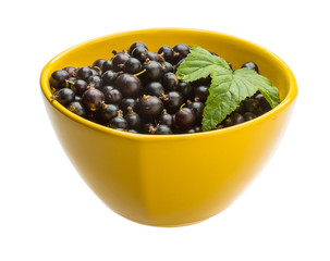 Black currant