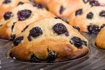 Baked berry muffins in a tray