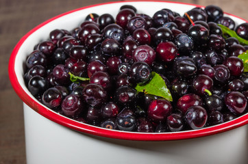 Fresh picked huckleberries in a pot