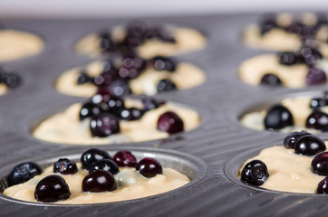 Huckleberries and batter in muffin pan