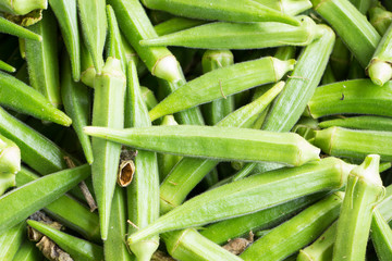 Okra, Lady's Finge
