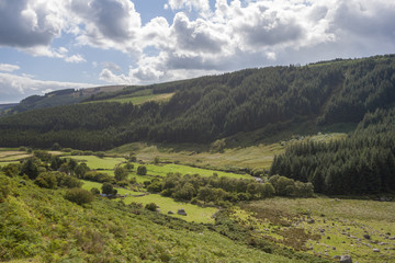 Valley in Wicklow