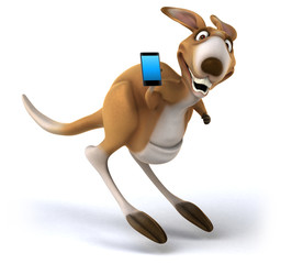 Fun kangaroo © Julien Tromeur