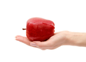  hand with an apple